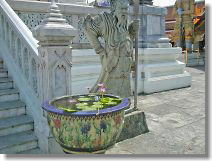 Buddist flower lotus