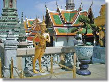 Softly guarded by bird human