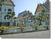 Garden and road were built as unity concept