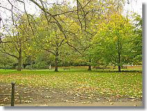 One of the big parks where the Buckingham Palace is enclosed. 