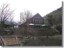 �V���K�[���́u�T�[�J�X�v���S�ɓW���B�J�t�F�e���X����B