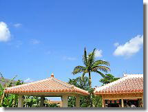 White mortar is used to seal roof not to be blown by typhoon