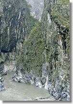 Do you see chief's shuttlecock decorations as the plant grows in the rock?